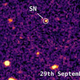Image: Mat Smith, University of Southampton